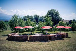 Regula Chakrit DSC-3