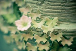 Regula Chakrit DSC-471